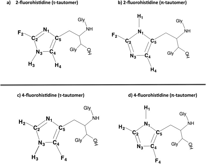 The Biophysical Probes 2fluorohistidine and 4
