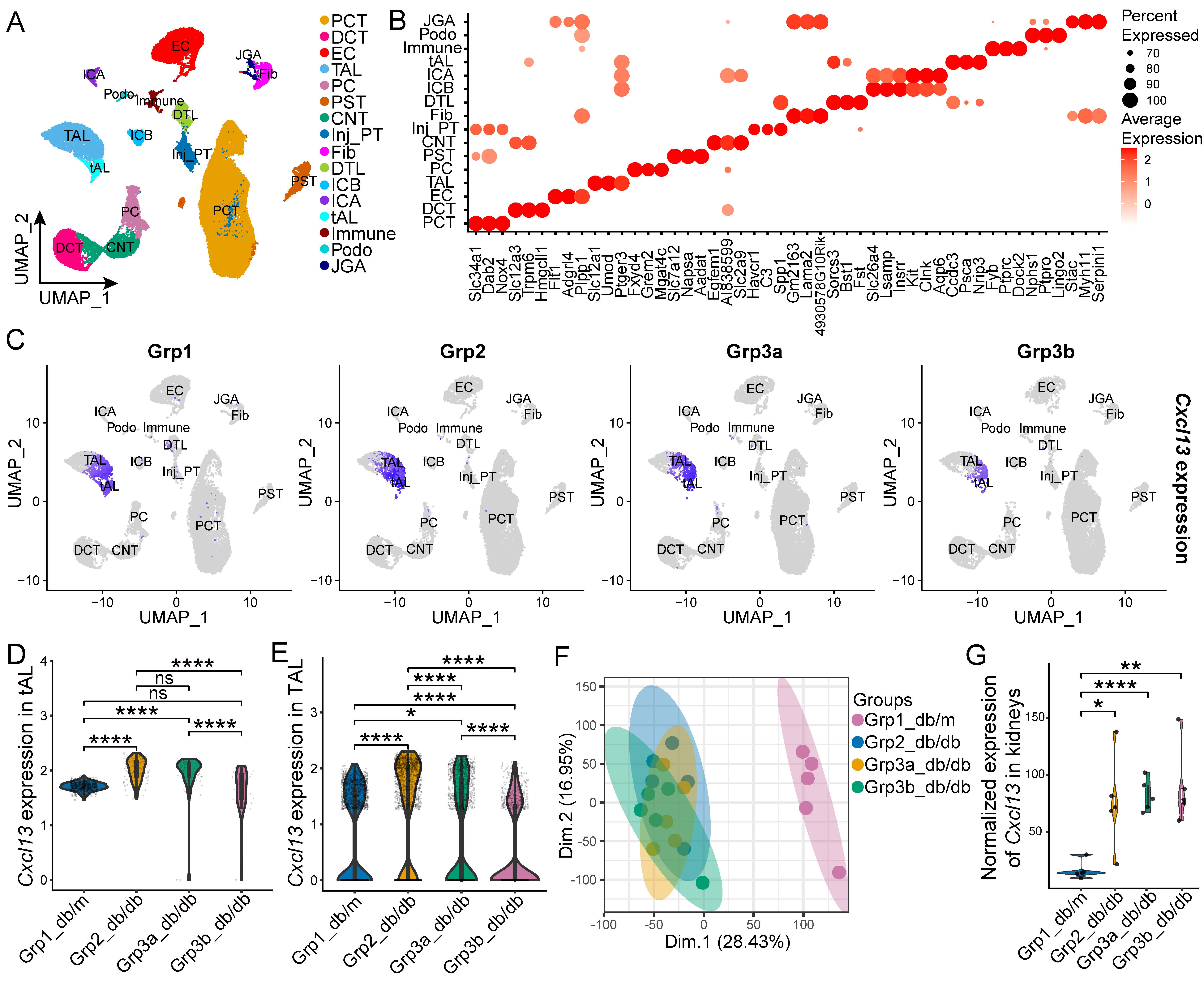 glutathione good for kidney Expansion of bone marrow Cxcr5⁺ B cells is associated with renal injury in early-stage diabetic disease: potential implications B-cell-targeted immunotherapy | Molecular Medicine Peptides for Sale | cell reproduction Package Size:10 kg (22 lb)