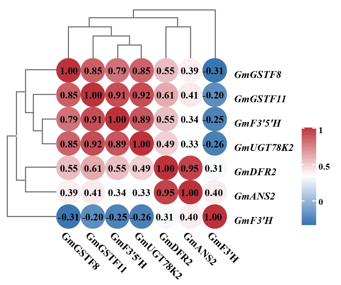 glutathione gene mutation Genome-wide characterization of the S-transferase family identifies GmGSTF8 and GmGSTF11 as anthocyanin-associated GSTs in soybean | BMC Plant Biology Shade:Cassis Top 10 Best Glutathione liquid level sensor for pump