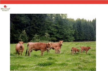 Eine Schwalbe Macht Noch Keinen Sommer Oder Regional - 