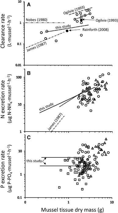 feeding and nutrient excretion of the new zealand freshwater mussel open image in new window