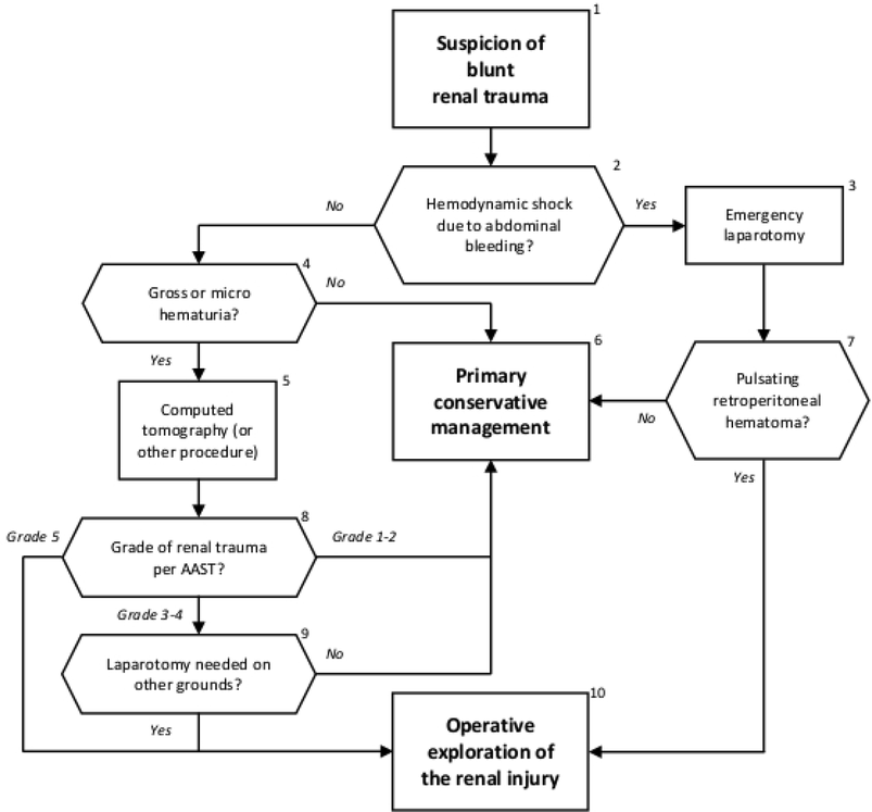 Level 3 Guideline On The Treatment Of Patients With Severe - 