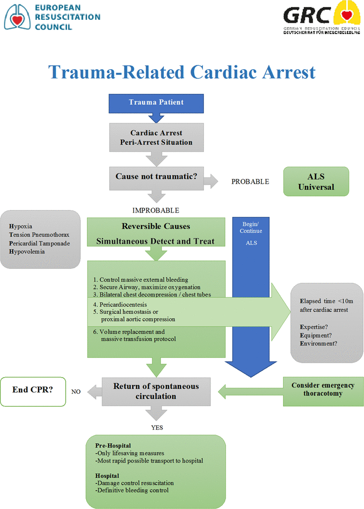 Head And Neck Trauma An Interdisciplinary Approach On Hulu