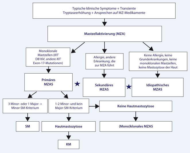 Mastzellaktivierungssyndrome | SpringerLink
