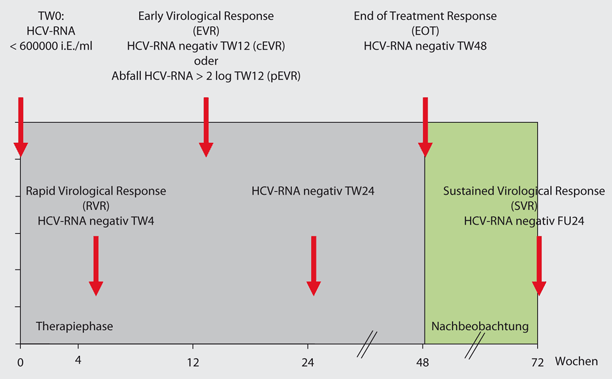 Diagnostik Und Therapie Der Chronischen Hepatitis B Und C Springerlink