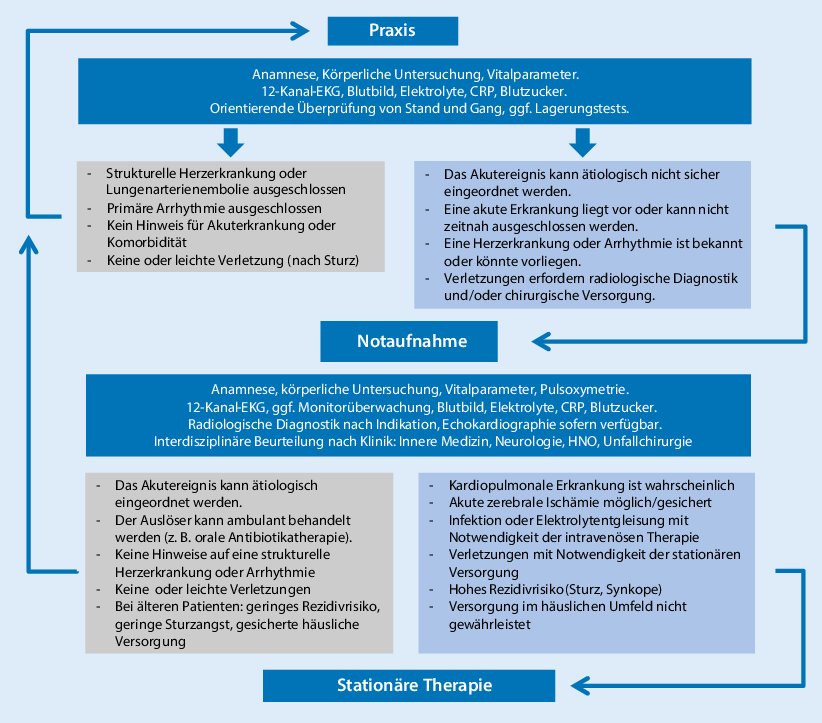 Synkope Sturz Schwindel Springerlink - 