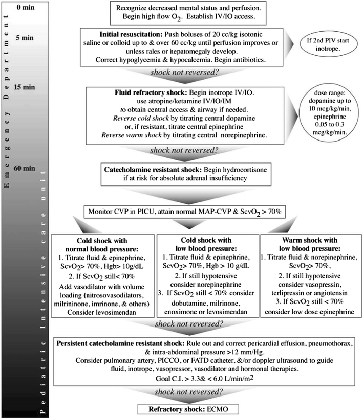 Surviving Sepsis Campaign International Guidelines For