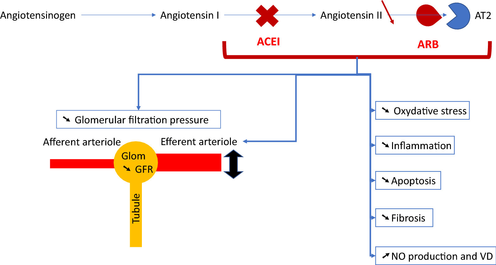 why are ace inhibitors good for heart failure