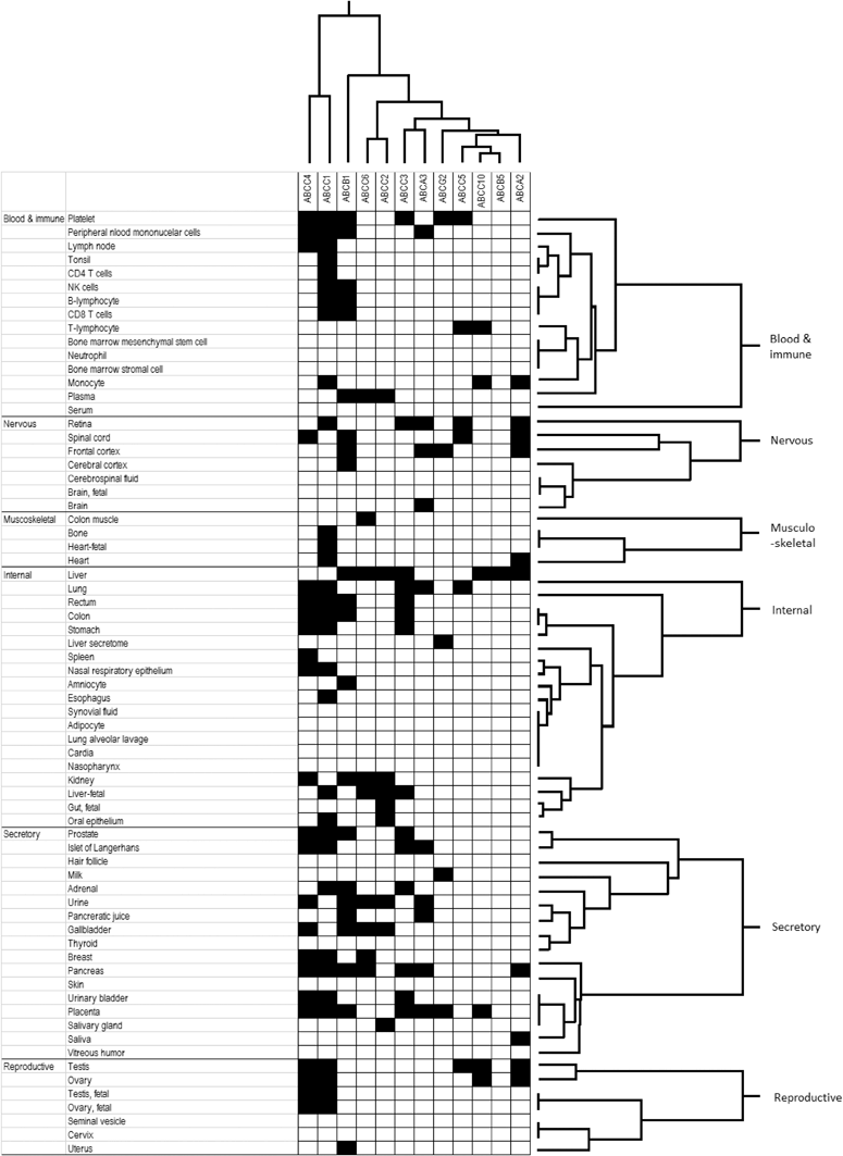 dating term usually abbr crossword Synonyms for pair at thesauruscom with free online thesaurus, antonyms, and definitions find descriptive alternatives for pair. dating term usually abbr crossword Synonyms for pair at thesauruscom with free online thesaurus, antonyms, and definitions find descriptive alternatives for pair.
