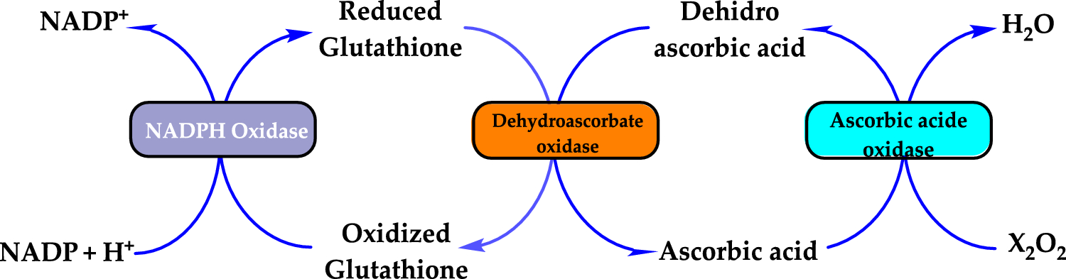 Antioxidants: a comprehensive review | springermedizin.de