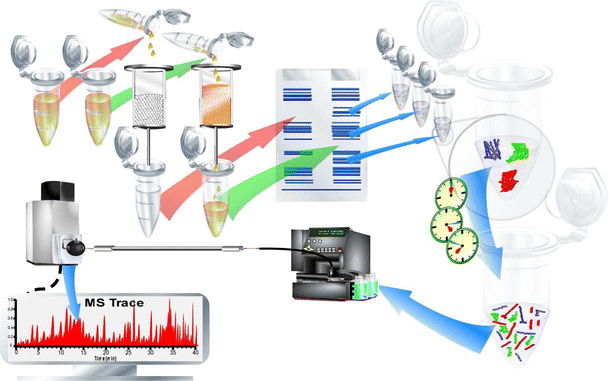 multipass protein multipass protein