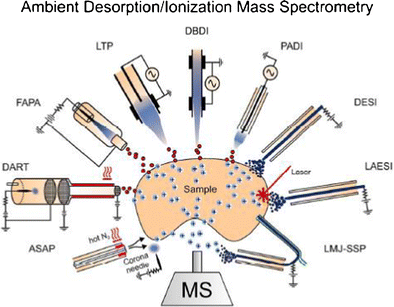 Ambient Desorptionionization Mass Spectrometry Evolution - 
