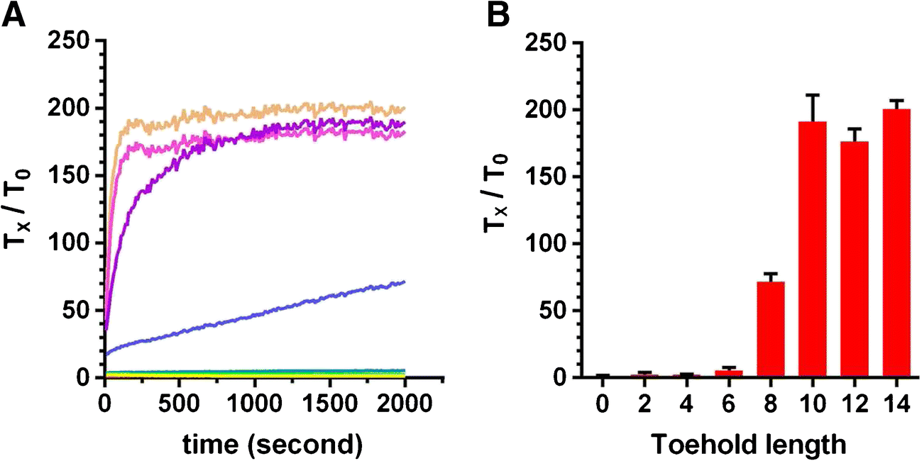 Training Gains Toehold For >> Toehold Integrated Molecular Beacon System For A Versatile Non Training Gains Toehold For >> Toehold Integrated Molecular Beacon System For A Versatile Non