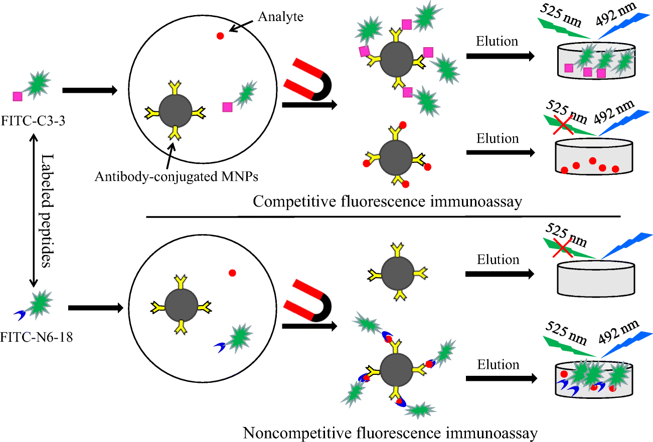 Competitive and immunoassays for the detection of