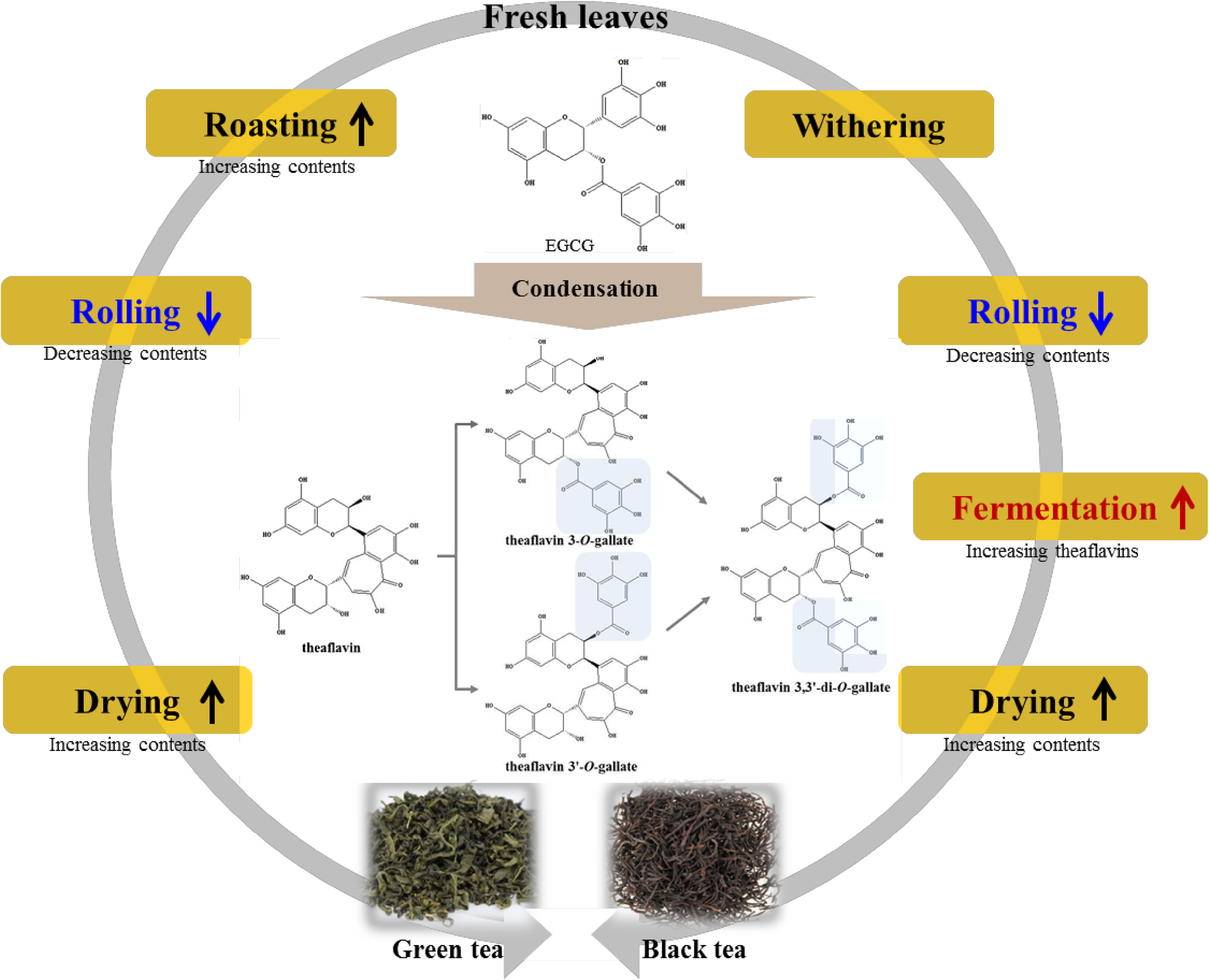 Flow Chart Of Caffeine Extraction From Tea Leaves