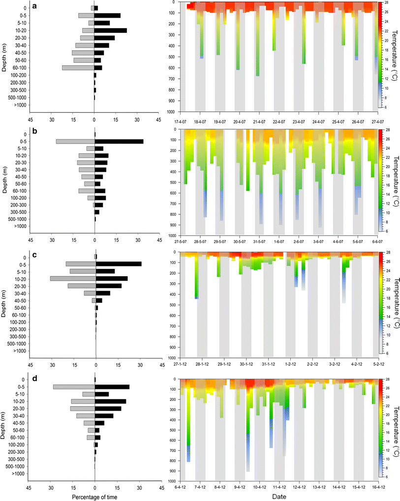 Tiger Shark Galeocerdo Cuvier Movement Patterns And Habitat Use