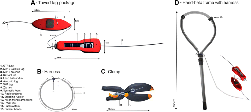 new non invasive methods