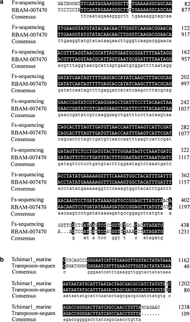 The Highly Modified Microcin Peptide Plantazolicin Is Associated