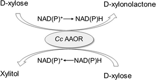 A novel aldose-aldose oxidoreductase for co-production of ... A novel aldose-aldose oxidoreductase for co-production of ...