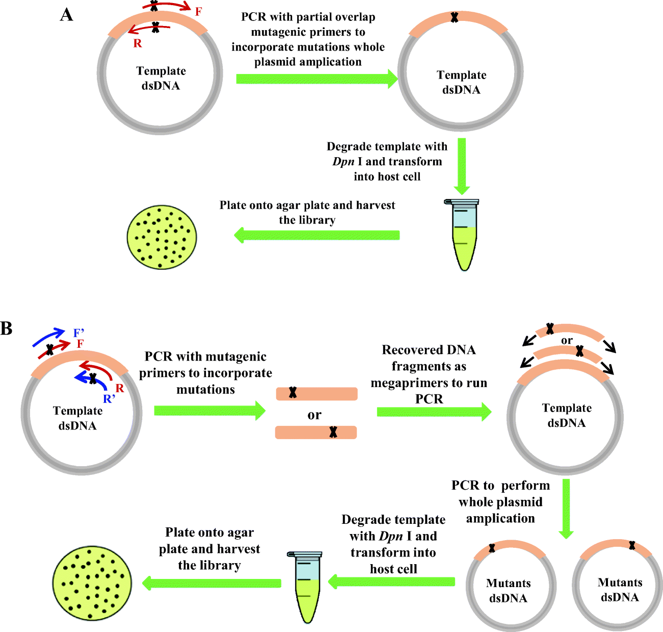Boosting the efficiency of sitesaturation mutagenesis for a difficult