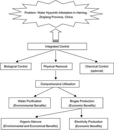 diagram of water hyacinth wiring block diagram Purple Loosestrife water hyacinth in china a sustainability science based management water hyacinth section diagram of water hyacinth