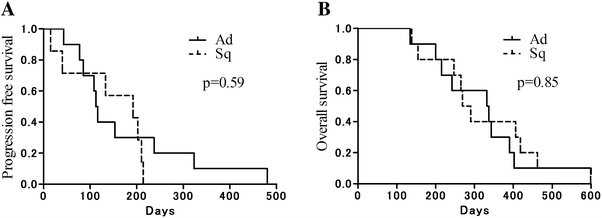 Safety and efficacy of S-1 in combination with carboplatin in non-small