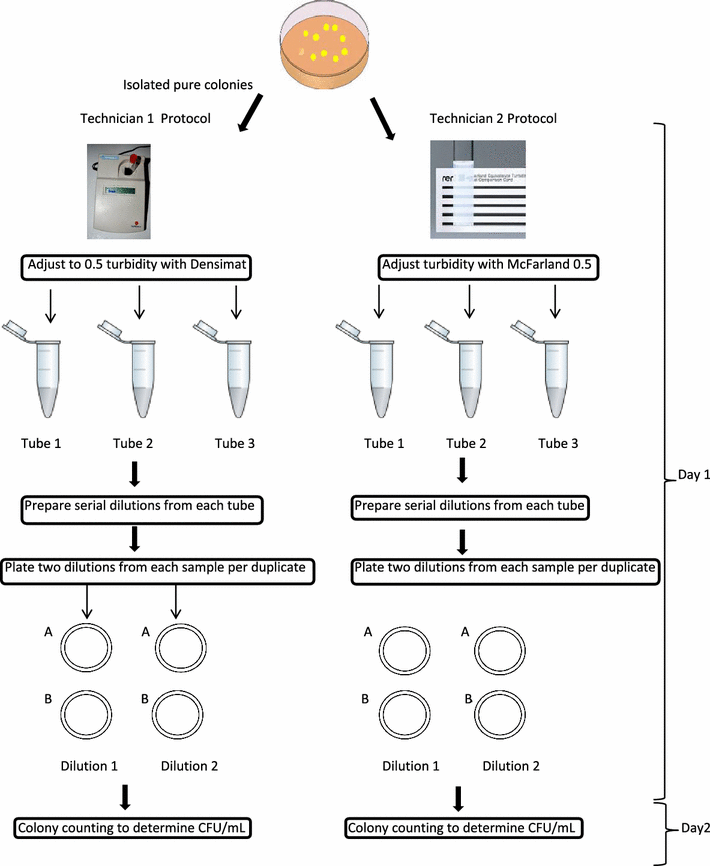 A Comparative Study of McFarland Turbidity Standards and the Densimat