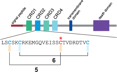 A Monoallelic Double Mutation As A Cause For Tnf Receptor Associated Periodic Fever Syndrome Springerlink A Monoallelic Double Mutation As A Cause For Tnf Receptor Associated Periodic Fever Syndrome Springerlink