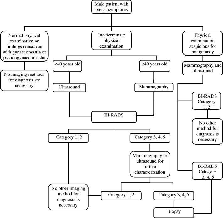 Mammography and ultrasound in the evaluation of male breast disease