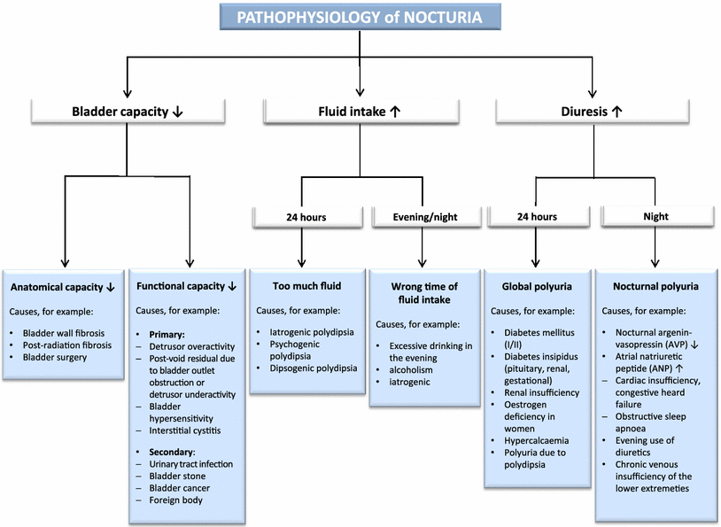 Nocturia state of the art and critical analysis of current assessment and treatment strategies