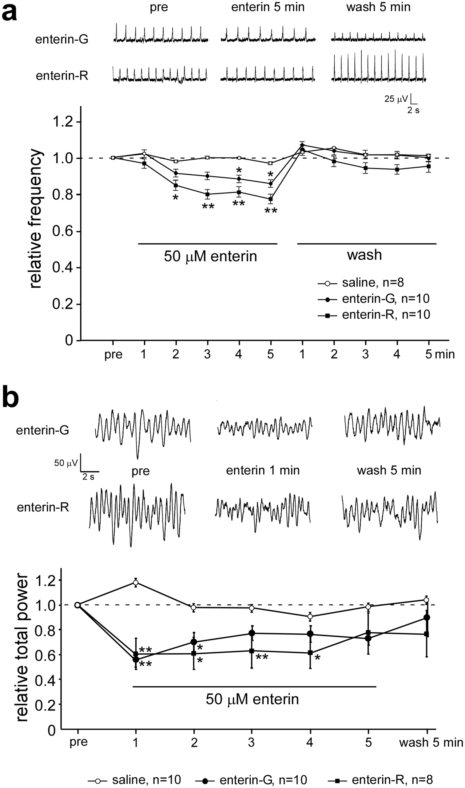 Distribution And Physiological Effect Of Enterin Neuropeptides In