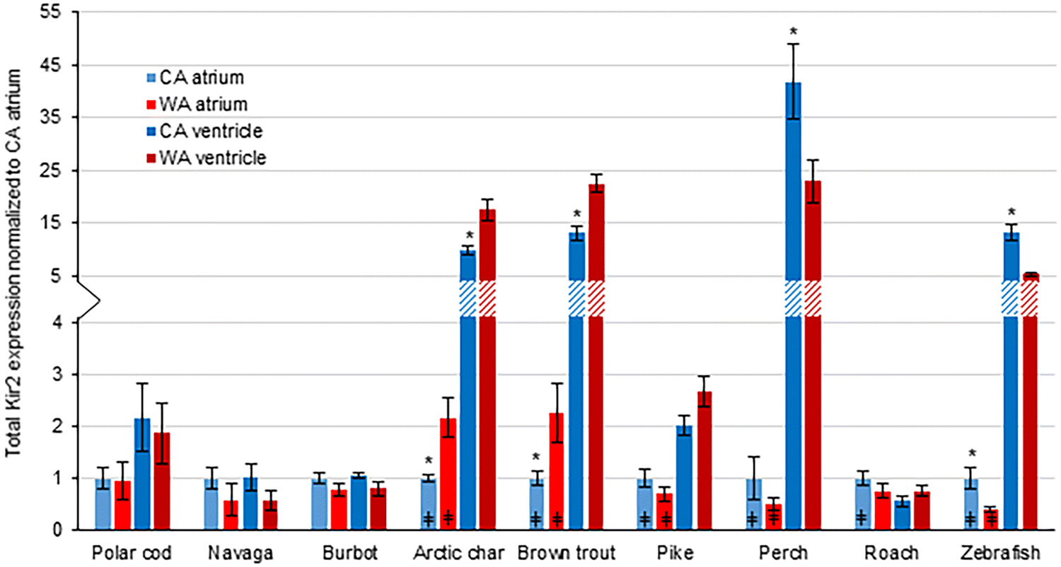 Pike Length To Weight Chart Uk