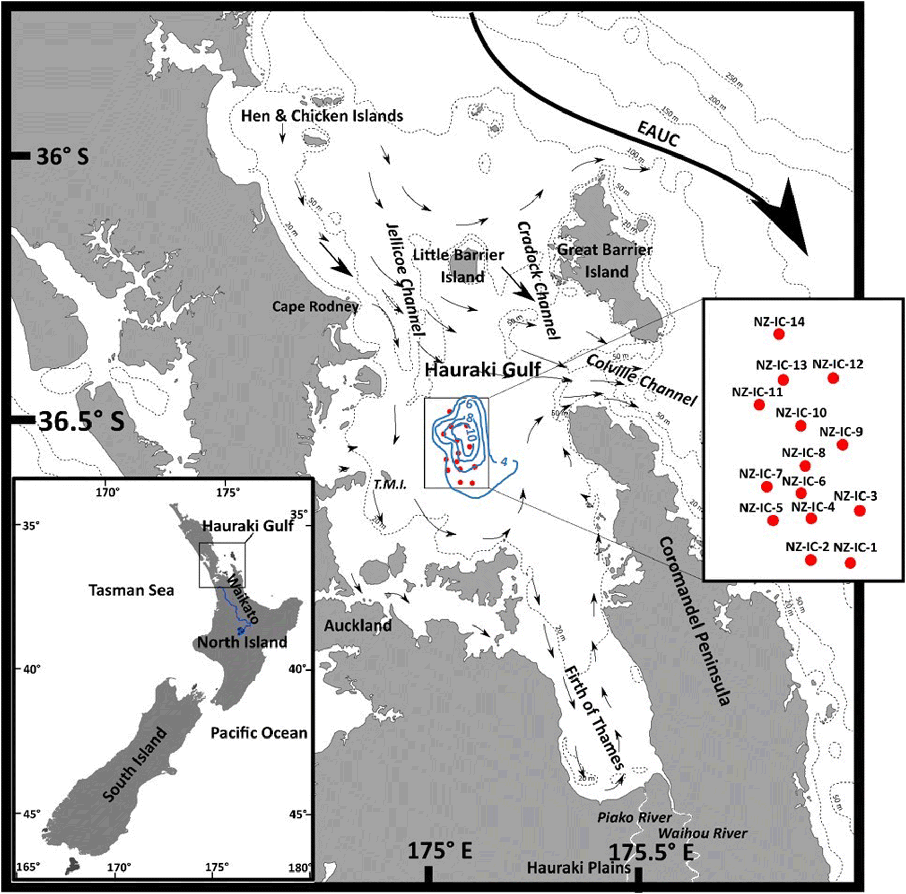 Marine Charts Hauraki Gulf