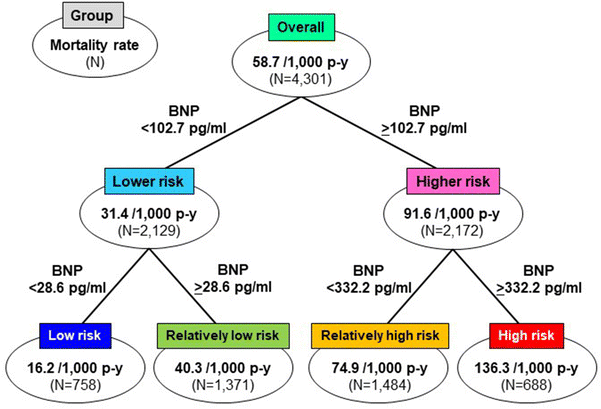 Bnp Levels Chart