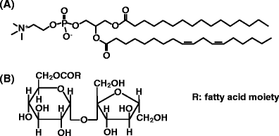 A novel reverse worm-like micelle from a lecithin/sucrose fatty acid