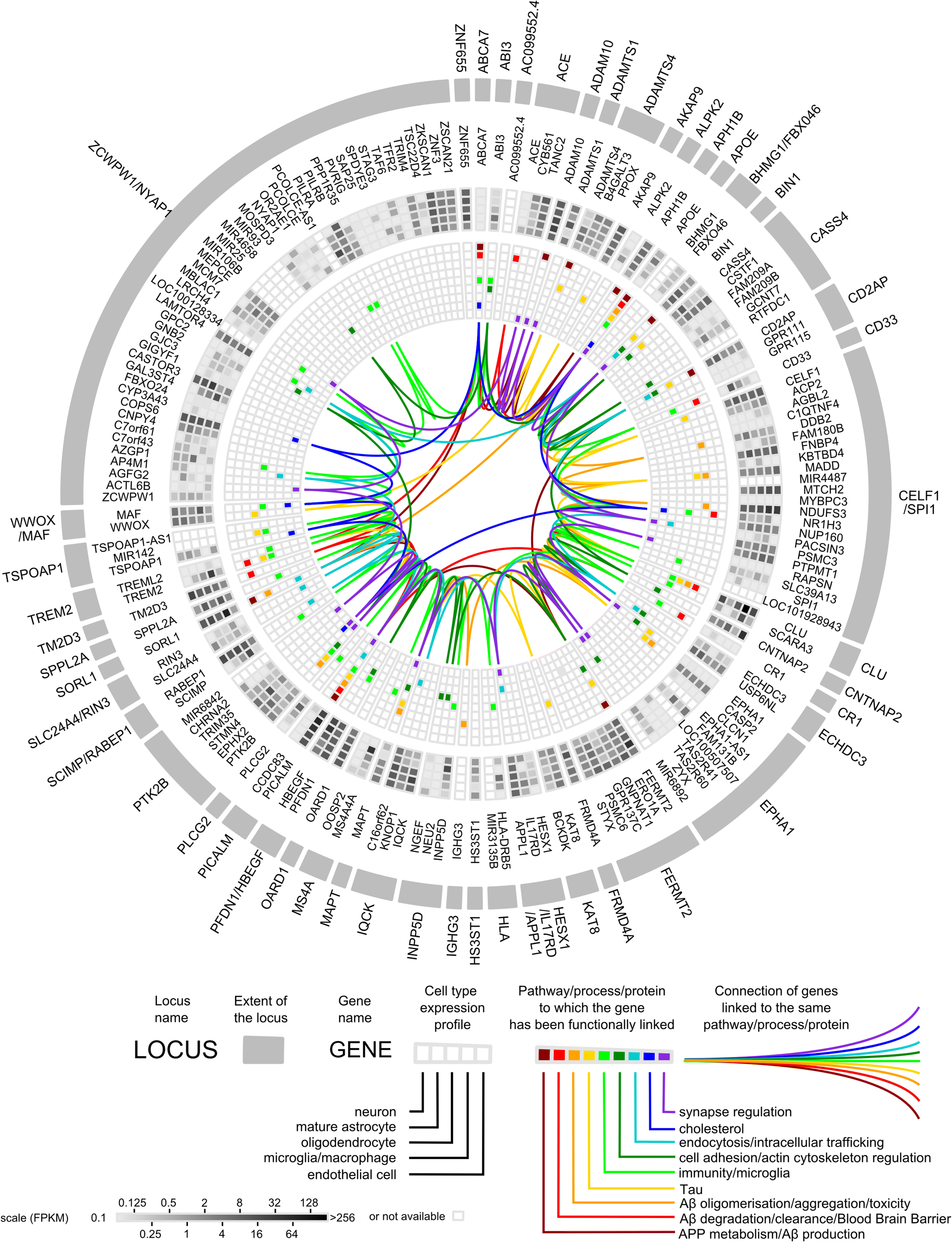 The New Genetic Landscape Of Alzheimers Disease From - 