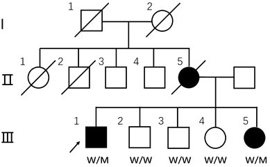 Als Pedigree Chart