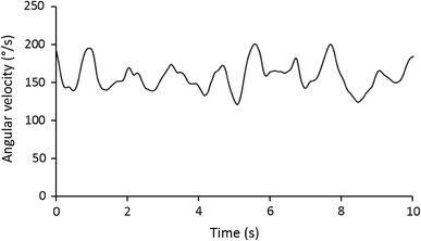 Movement Amplitude On The Functional Re Adaptive Exercise - 