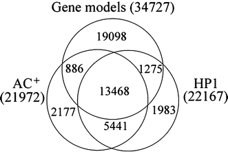 Whole transcriptome sequencing reveals genes involved in plastid