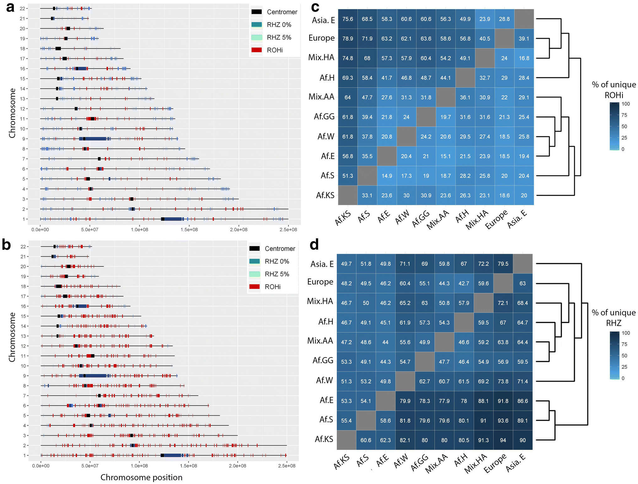 Runs Of Homozygosity In Sub Saharan African Populations
