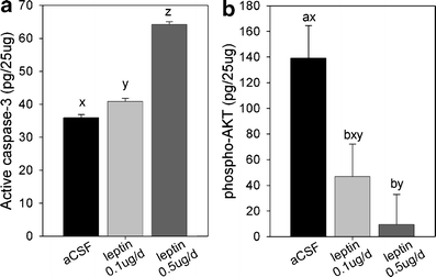 marrow bone fig leptin rat ventromedial adipocyte injections peripheral hypothalamus apoptosis increase fat into