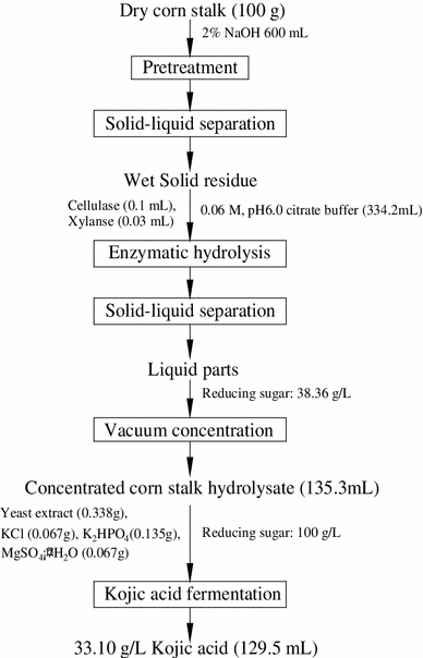 Improvement of kojic acid production in Aspergillus oryzae B008 mutant ...