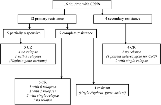 Pathophysiology Of Nephrotic Syndrome In Flow Chart