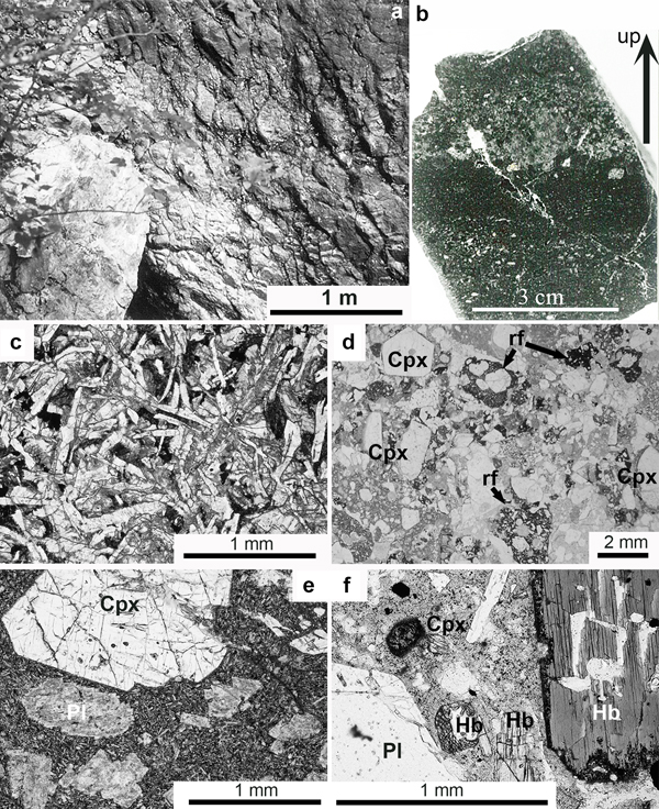 Early Paleozoic Subduction Initiation Volcanism Of The - 