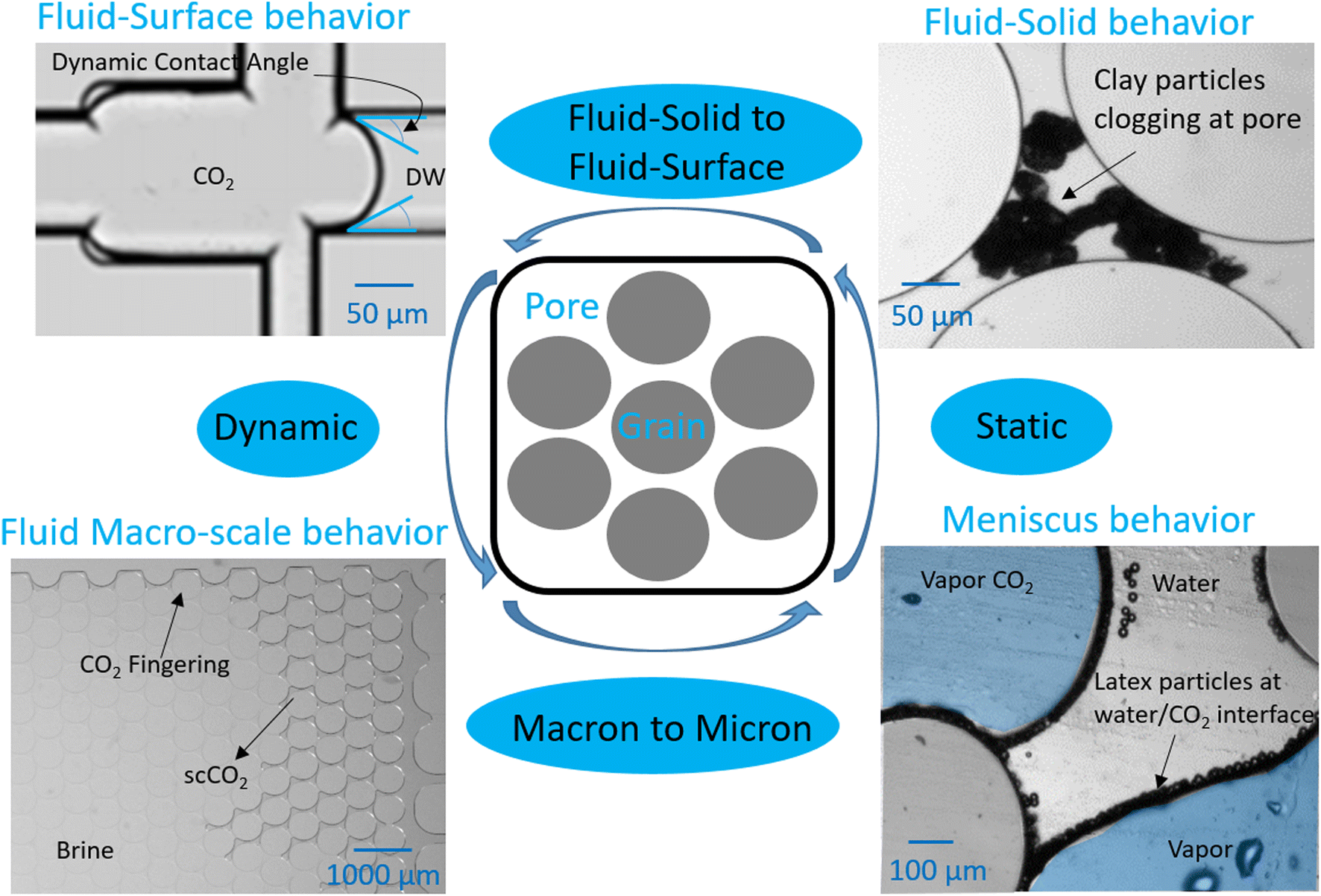Application Of Microfluidic Pore Models For Flow Transport - 