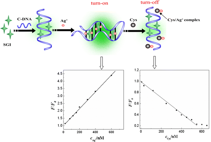 Fluorescent Detection Of Silver I And Cysteine Using Sybr Green Open Image In New Window Figure