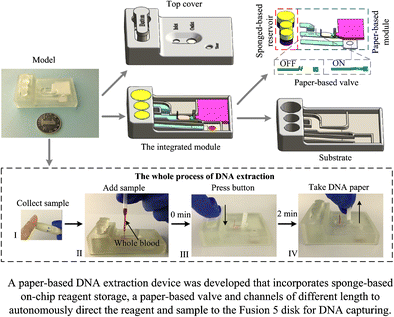 Dna extraction thesis
