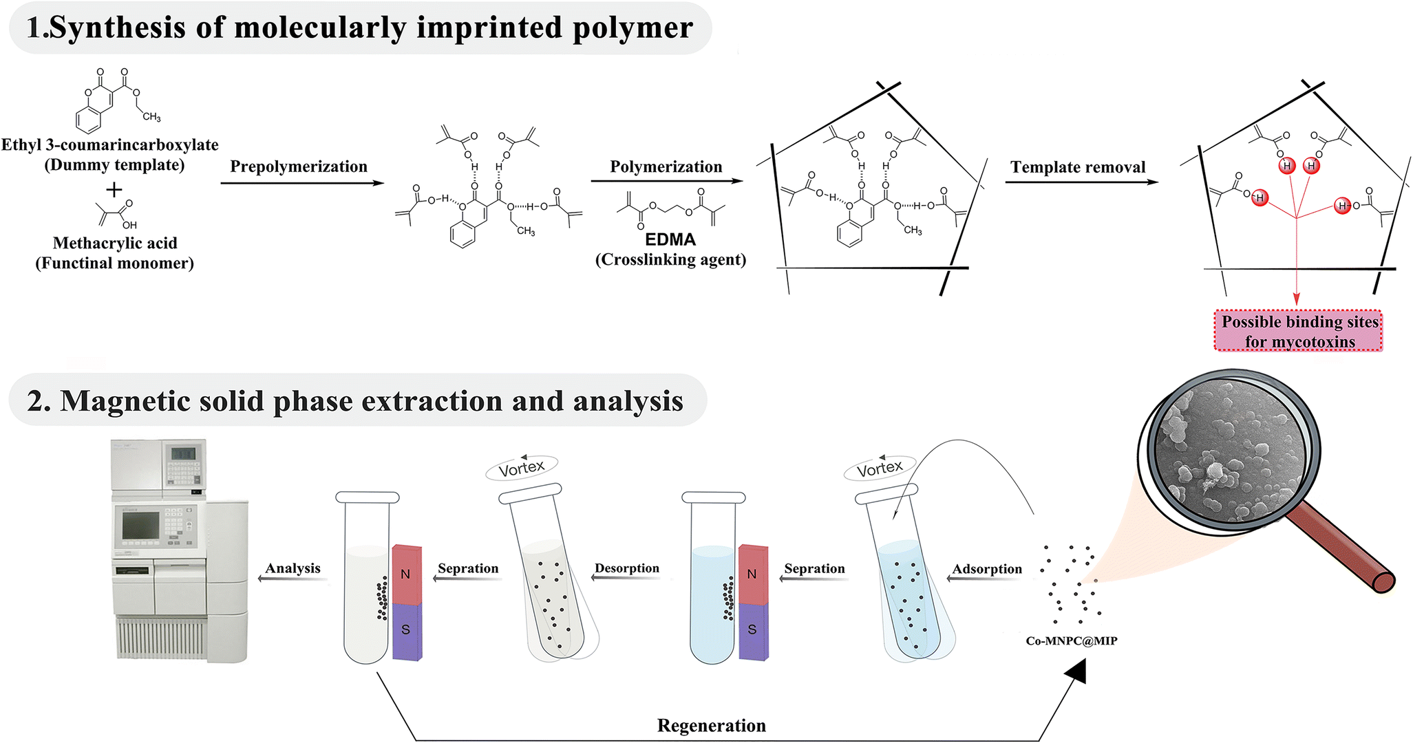 Solidphase extraction of aflatoxins using a nanosorbent consisting of