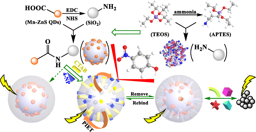Zns схема. ТЭОС тетраэтоксисилан. ZNS электронная схема. Механизм связи ZNS. ZNS o2 избыток.