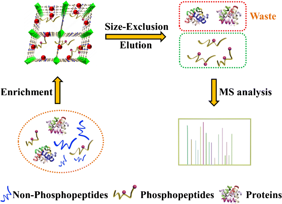 Titanium Iv Functionalized Zirconium Organic Frameworks As